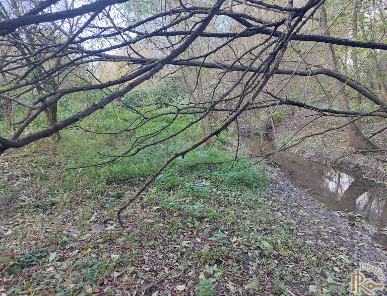 Kaposvár, Pázmány u.  Kaposvár, Pázmány u.