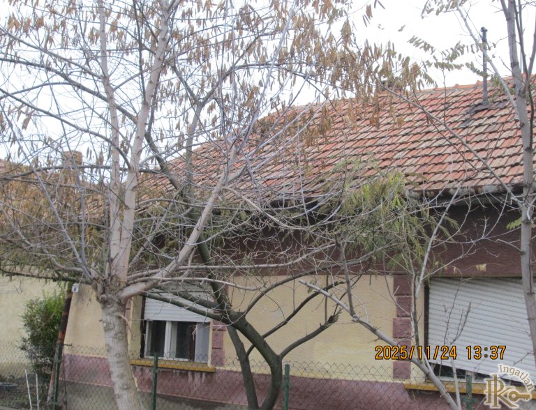 Jászladány, Hóvirág utca 8.